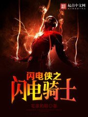 (閃電俠同人)閃電俠之閃電騎士